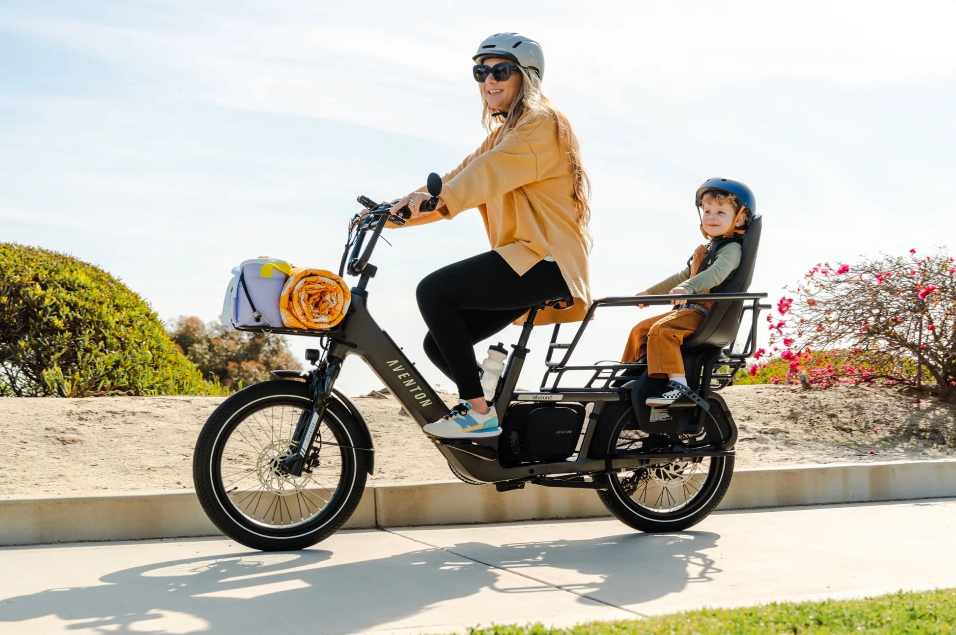 Cargo & Family Bikes