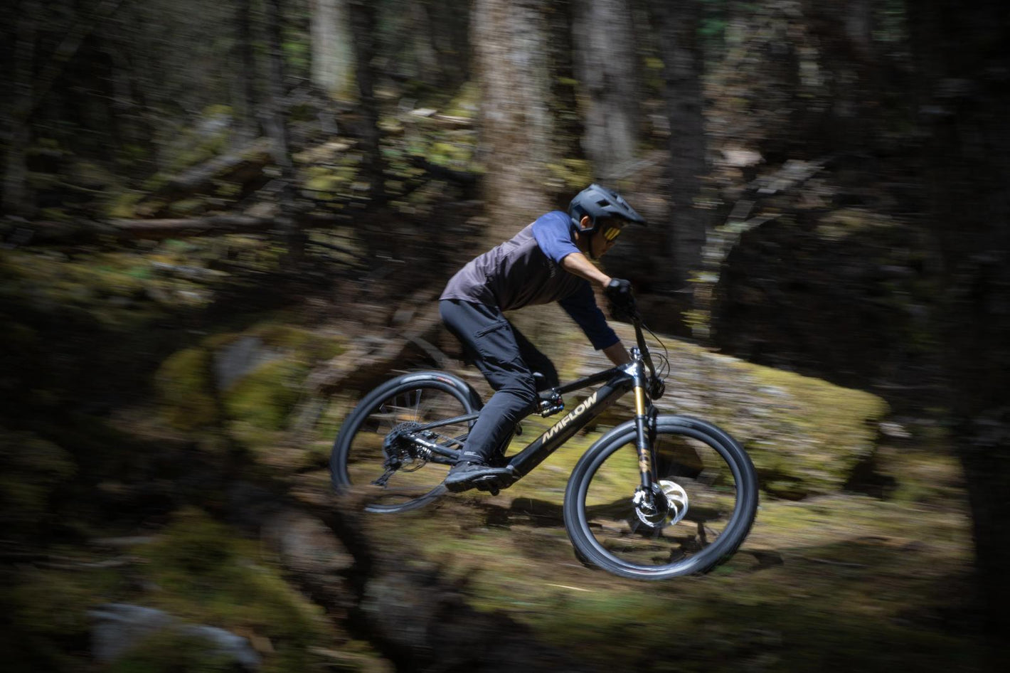 Mountain Bikes